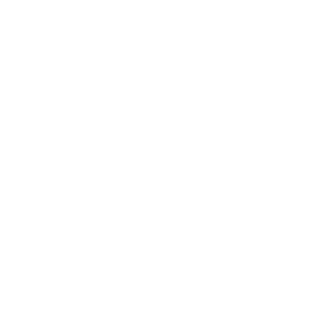 VICM Logo